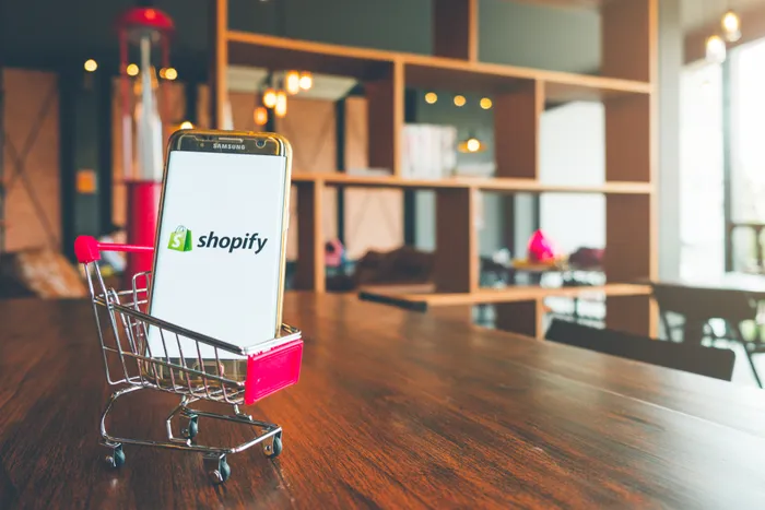 shopify website